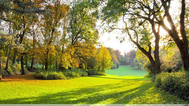 pc模拟器手机版下载：t恤定制厂家(t恤衫定制生产厂家)