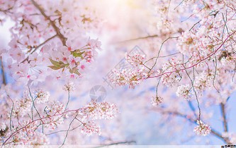 pg电子麻将胡了2模拟器试玩：帽子定制图案文字图片大全(帽子