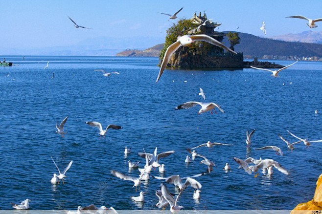 pg电子游戏官网官方网站：帽子定制图案设计(帽子定制好看的图