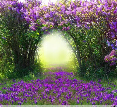 pg电子平台：帽子定制图片(帽子定制图片大全)