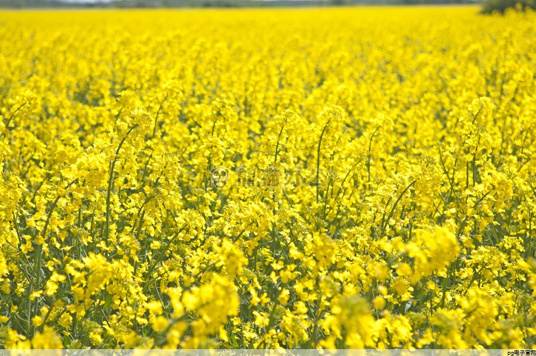 pg麻将胡了模拟器：春秋工作服定制厂家电话(重庆工作服定制定