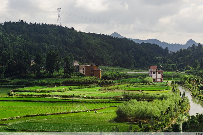 pg电子官方网站入口：高端品牌polo 衫(高端品牌polo