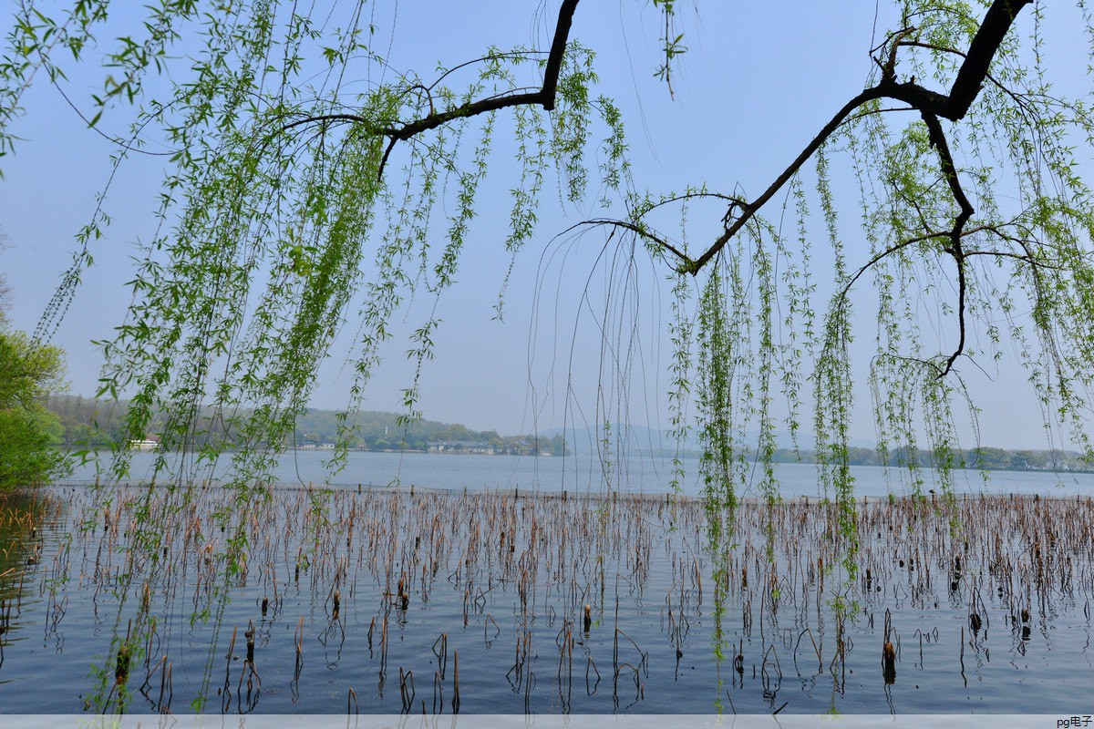 pg电子游戏官网官方网站安卓：高端商务polo衫品牌(商务p