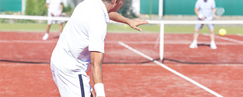 PG电子官方什么是polo衫