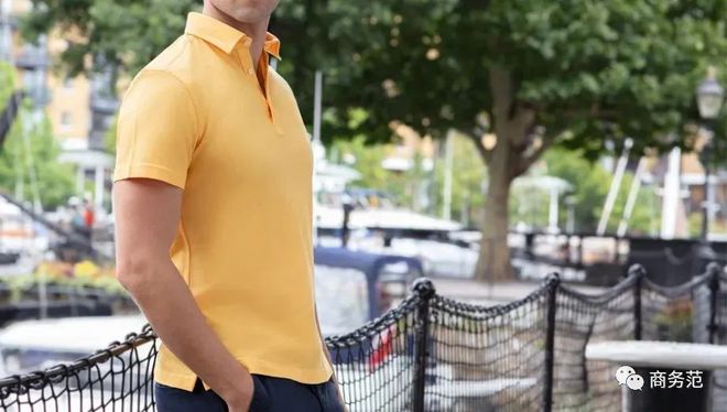 PG平台官方网站今年值得买的15款职场Polo衫普京、查尔斯