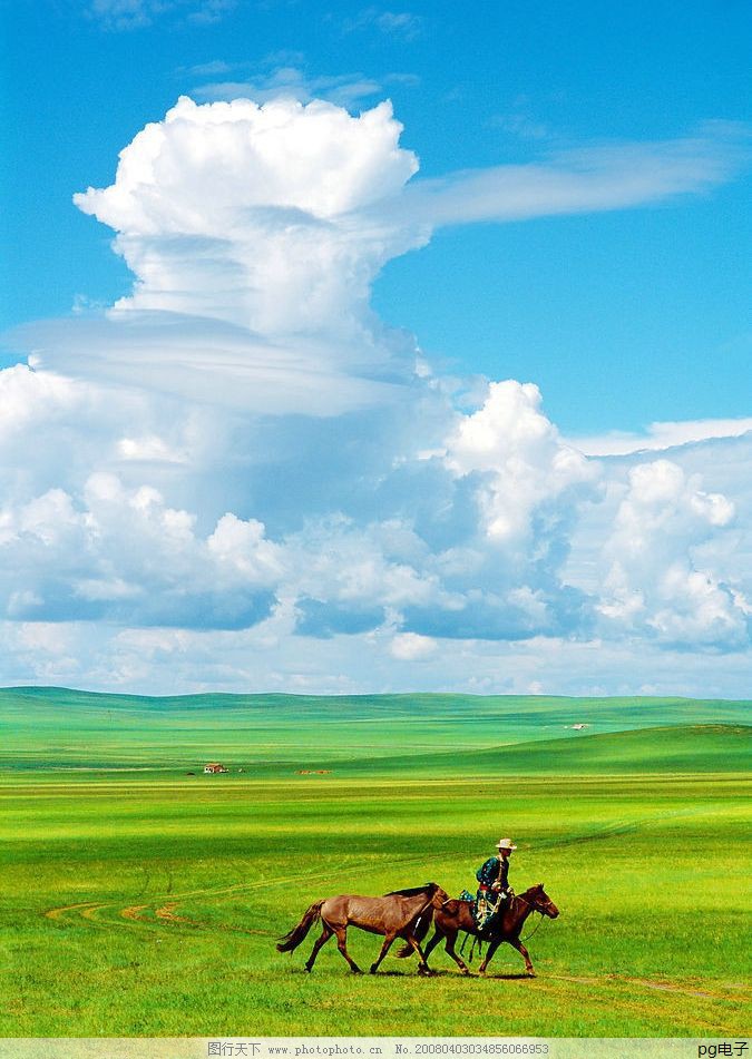 t恤定制图案效果图在线预览下载(t恤定制图案效果图在线预览下载软件)