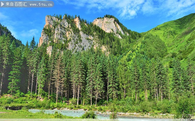 t恤定制图案素材下载(t恤图案图片 素材)