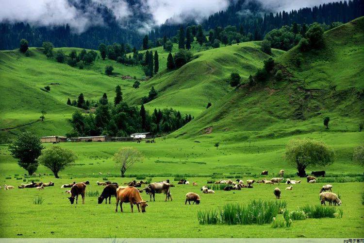 t恤定制工厂 济宁(t恤衫定制工厂)