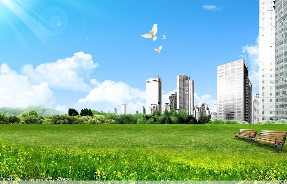 t恤定制文字写什么好(定制 t恤)