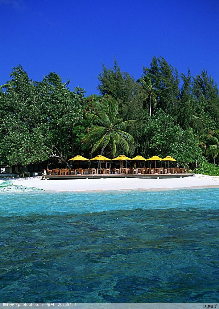 t恤工服定制价格(工服定制一一)