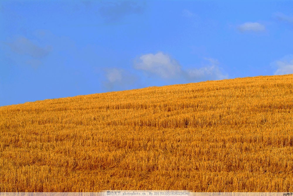夏季工服尺码表格(夏季工作服尺码表)
