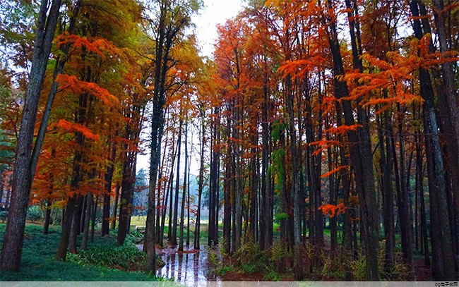 帽子定制一个多少钱合适(定做帽子大概多少钱)