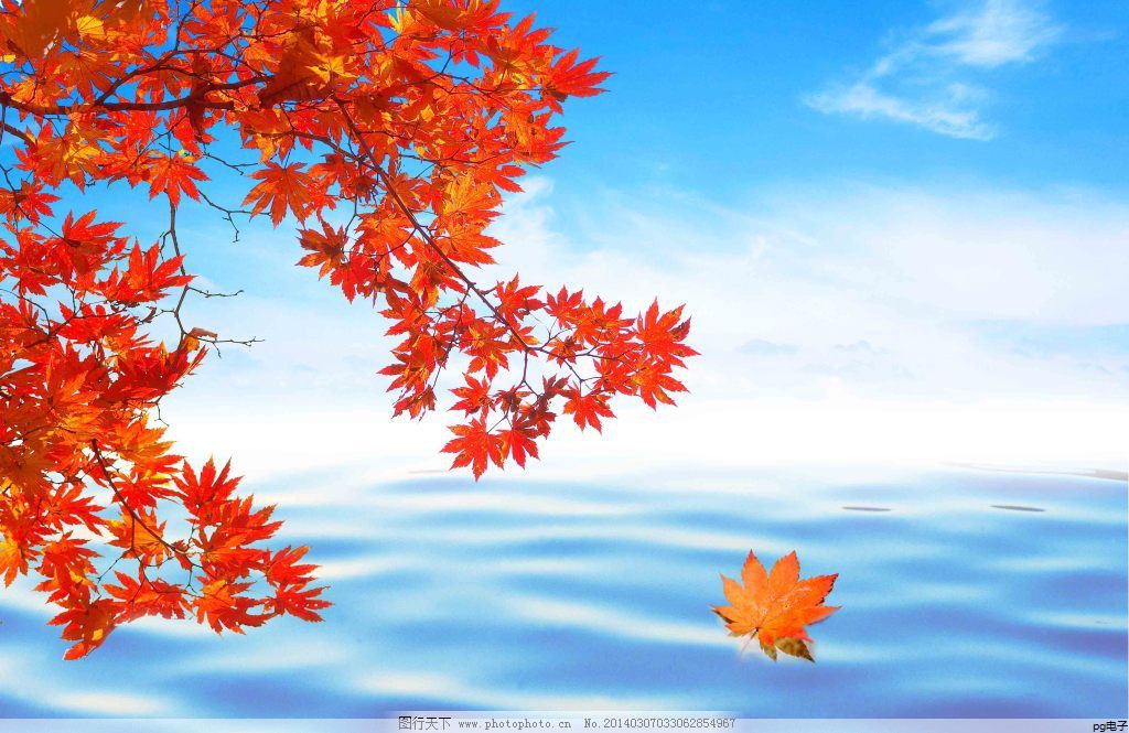 帽子定制图案图片大全集(班级帽子定制图案文字)