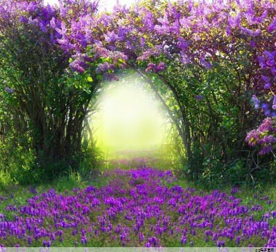 帽子定制图片(帽子定制图片大全)