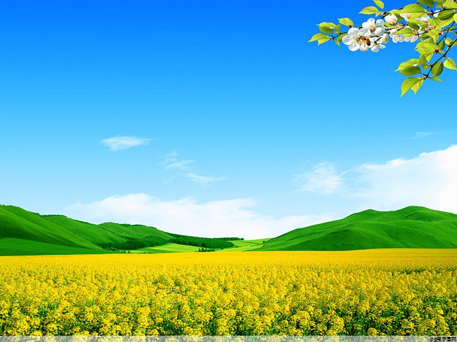 帽子定制文字怎么写的(班级帽子定制图案文字)