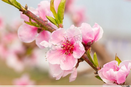 春秋工服图片(春秋工服图片及价格)