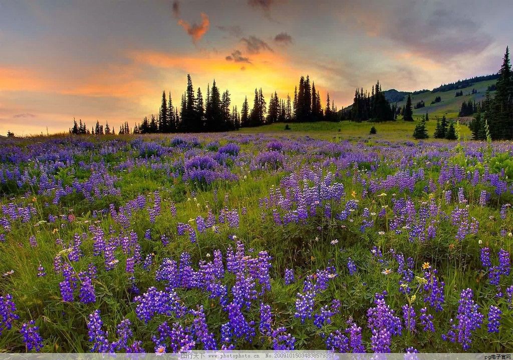 春秋工服设计说明500字