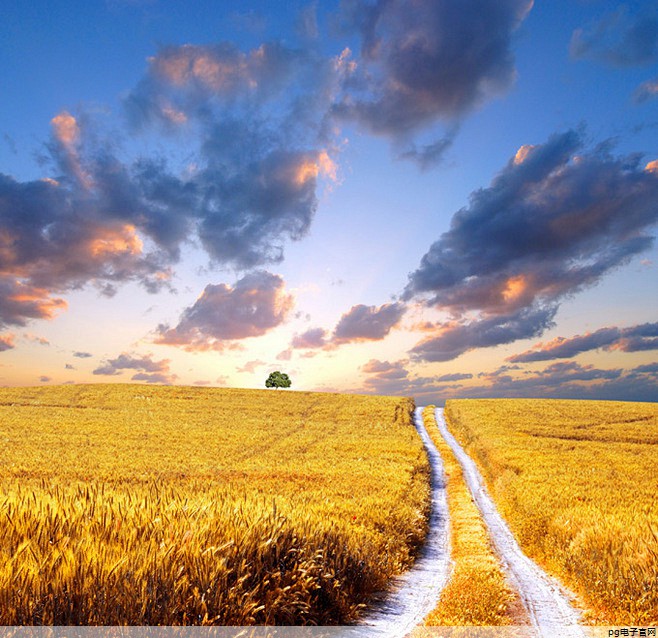 运动速干t恤哪个牌子最好看(速干运动套装品牌)