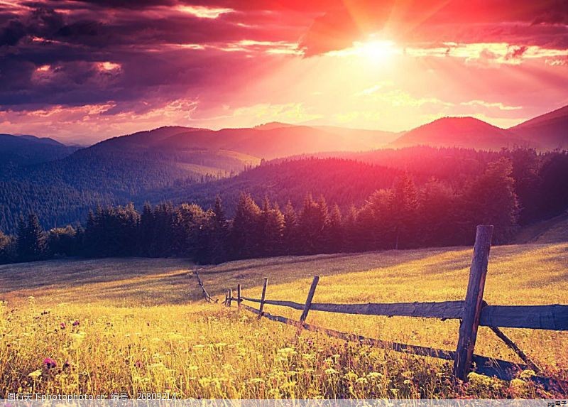 高端商务polo衫一般用什么布料 高端商务polo衫一般用什么布料